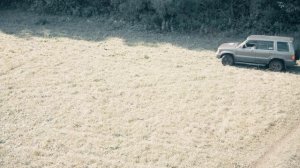 Monterey + Mi drone 4k = Весело ?