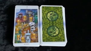 Видео обзор на колоду карт «Таро Отражений»/Ида Бранэр