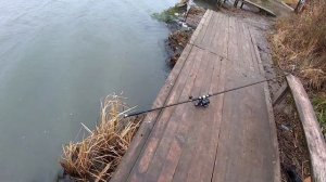 Ловим карпа в непогоду,42 км база Зелёный остров ,сильный ветер и бешеное течение .