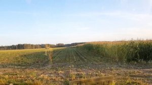 Открытие КУКУРУЗНО-ТРАВЯНОЙ ямы 2019г. Уборка КУКУРУЗЫ 2020. Мтз,Хтз,Дон.