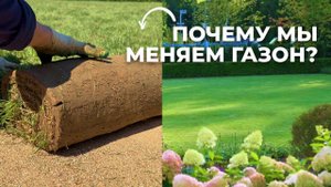 Меняем газон в регулярном саду и продолжаем строить чайный домик