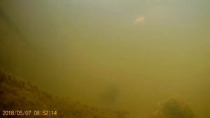 Судак под водой