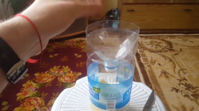 Как избавится от плодовой мушки в квартире!!! +откуда она появляется в квартире . Часть1 смотреть онлайн