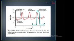 EXAM ORIENTED CLASS ON CVS PHYSIOLOGY (PART-1)