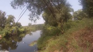 Вот я сижу на тротуаре.