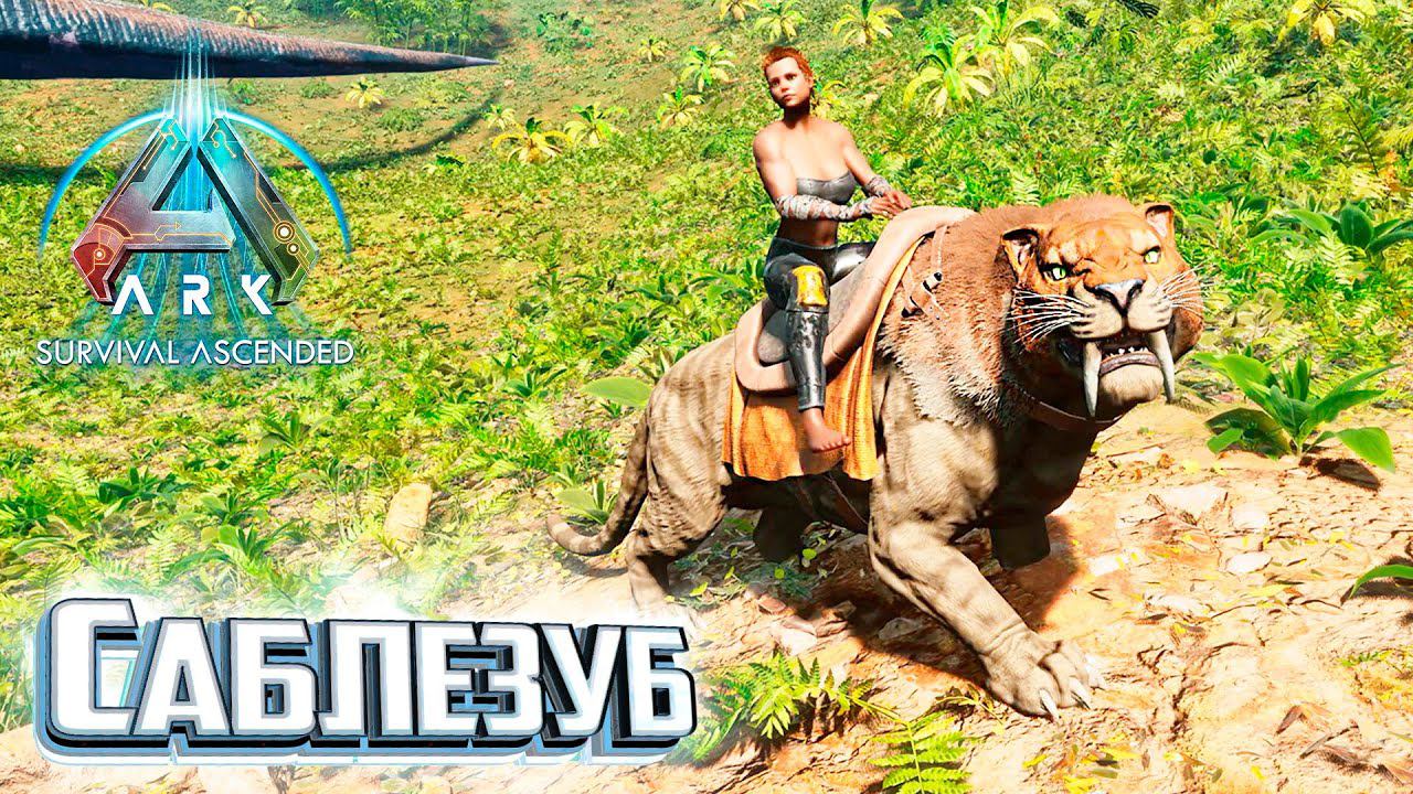 Саблезуб и Разведение Мегатериев - ARK Survival Ascended #23