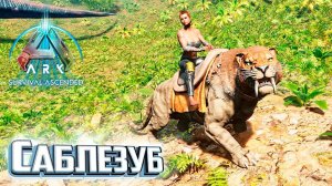 Саблезуб и Разведение Мегатериев - ARK Survival Ascended #23