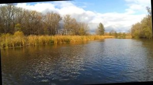 Рыбалка на малых реках Черноземья. Улыбка осени.