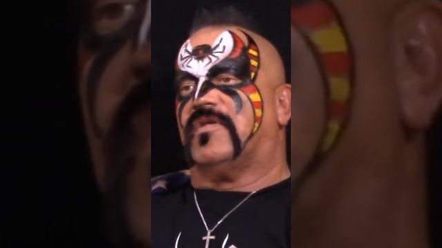 Road Warrior Animal on Sunny Performing on Drugs