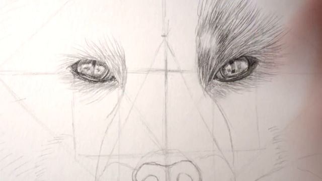 Как нарисовать ЛИСУ карандашом поэтапно. смотреть онлайн