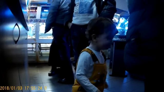 Полосатая рыба смотреть онлайн