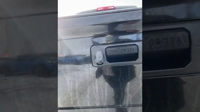 2019 Tundra смотреть онлайн