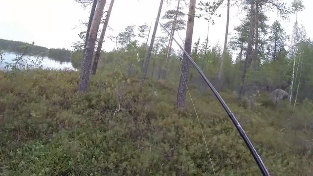 Рыбалка в Северной Карелии День 7-8 Приключения продолжаются!) смотреть онлайн