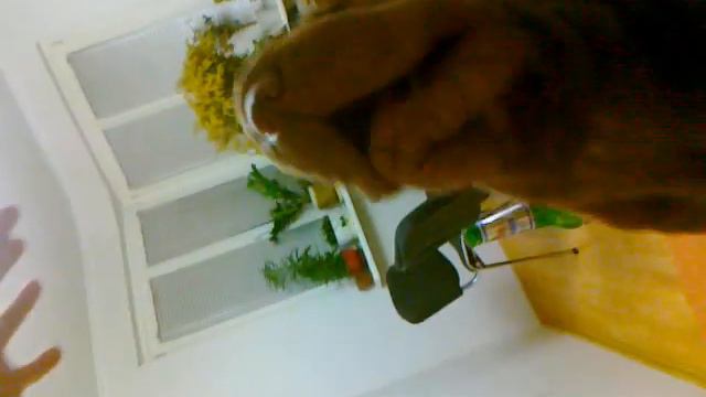 ШАРПЕЙ ОТЖИГАЕТ смотреть онлайн