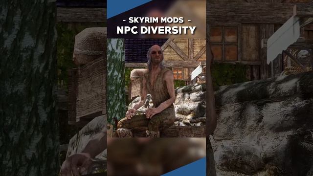 The Best Mods For Diversivied NPCs In Skyrim