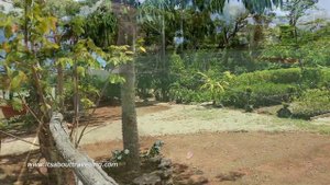 Melia Jardines Del Rey All-Inclusive Resort (Cayo Coco, Cuba)