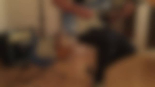 Fender CS LCC lake placid blue смотреть онлайн