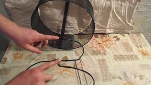 Скрипит колесо у Дегу. Что делать?