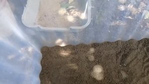 Делаю террариум для ящерят.