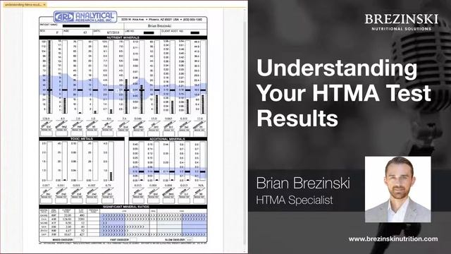 How to Interpret Your Hair Mineral Analysis (Part 1: Hair Analysis Basics and HTMA Chart Review) смотреть онлайн