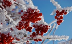 Артём Гельман - Возвращение