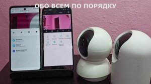 Сравнение камера TP-Link Tapo и Mi Home Security Camera отслеживание человека и обнаружение движения