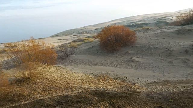 Куршская коса. Национальный парк России. смотреть онлайн