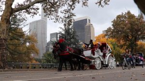 Central Park Horse Carriage Ride by NYC Adventures