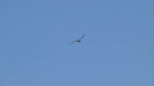 Самодельные беспилотники над Москвой