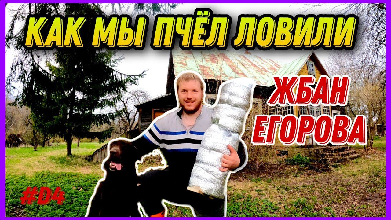Купил дом на хуторе и восстанавливаю. Сработает ли жбан адвоката Егорова? #хочувдеревню #хутор