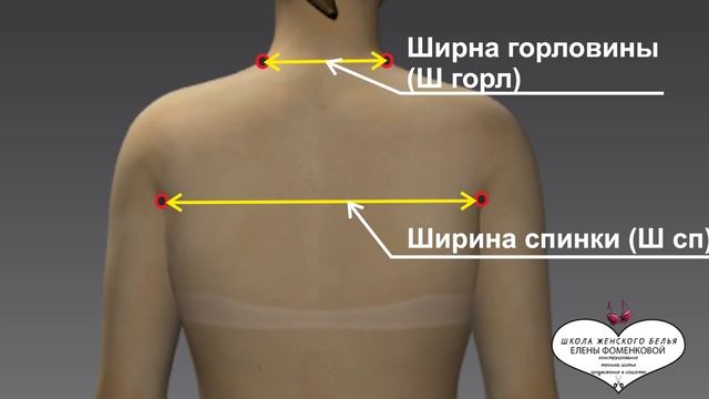 Точное построение плечевой вытачки - три способа