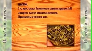 Ежевика сизая