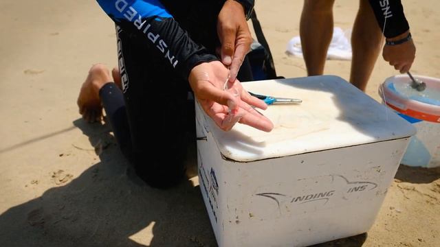 Port Elizabeth Fishing - New Okuma Euphoria rods смотреть онлайн