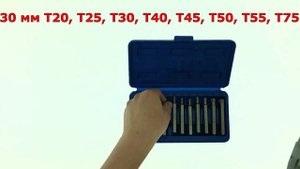 Набор бит TORX звёздочки 6 граней 15 предметов VOREL в пластиковом боксе