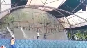 Аист на крыше