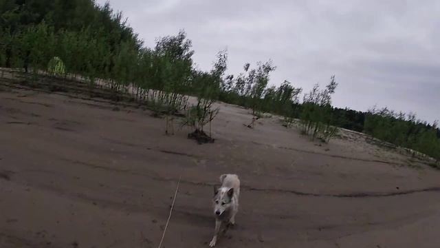 Рыбалка 5 августа 2021год смотреть онлайн