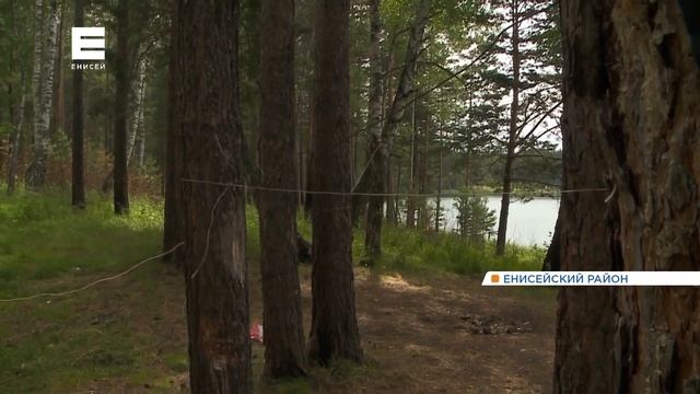 Медведь насмерть загрыз женщину на глазах мужа и ребенка в Енисейском районе смотреть онлайн