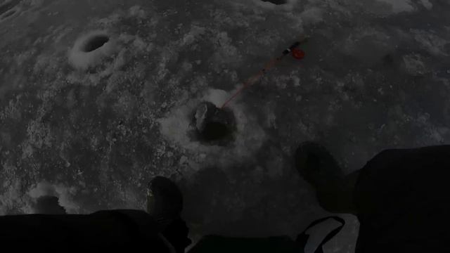 ОБЫЧНАЯ НО РЕЗУЛЬТАТИВНАЯ ПРОВОДКА НА СУДАКА СО ЛЬДА смотреть онлайн