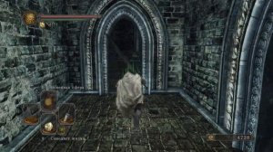 Dark Souls II: Scholar of the First Sin -⭕-Крыса и Железная Цитадель -20-