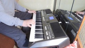 M-Audio EX-P Expression Pedal and Yamaha PSR-S670