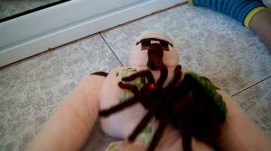 РАДИОУПРАВЛЯЕМЫЙ ПАУК. Распаковка игрушки. BLACK SPIDER