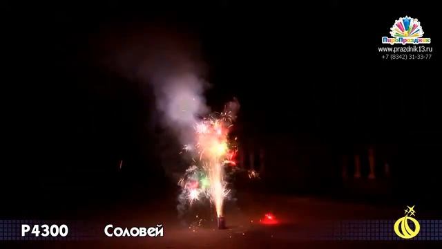 Р4300 СОЛОВЕЙ смотреть онлайн