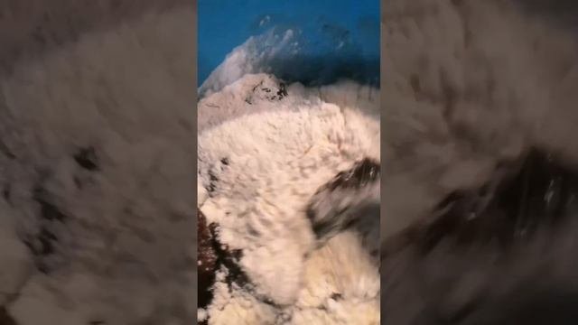 готовим говяжью печень