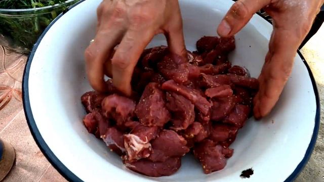 Правильный шашлык из говядины/Рецепт люля кебаб/В гостях у брата в Подмосковье