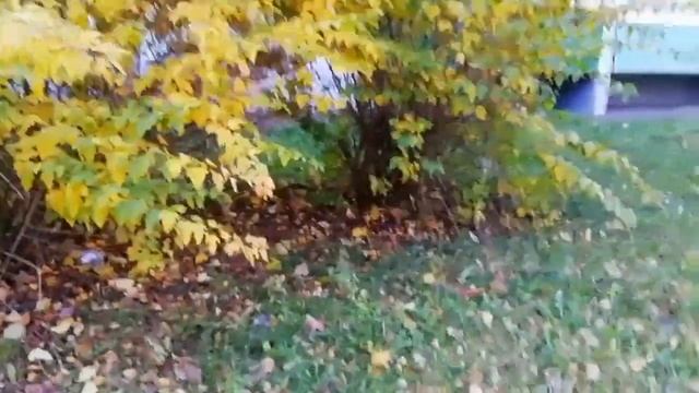 Когда такие блещут краски смотреть онлайн