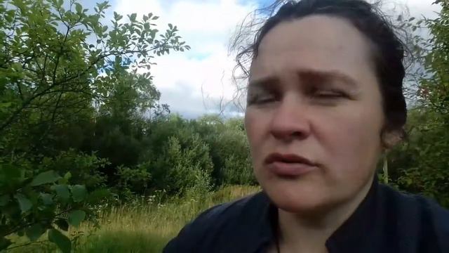 #КРЫСЫ ТАСКАЮТ НАШУ КАРТОШКУ,МАМА НАУЧИЛА МЕНЯ КАК С НИМИ БОРОТЬСЯ!!!! смотреть онлайн