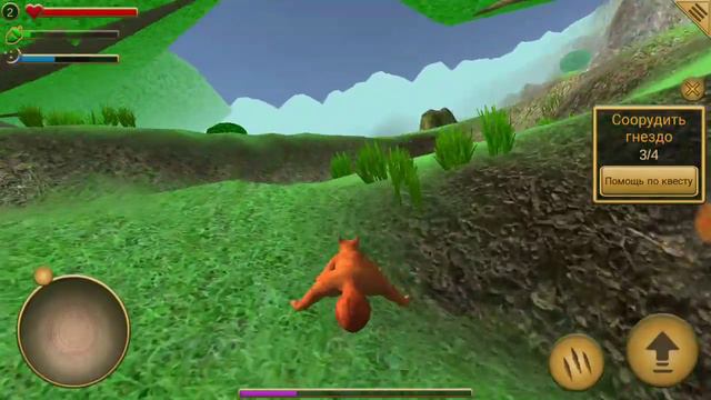 Симулятор белки смотреть онлайн