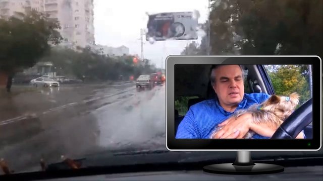 Александр Сергеев.Август