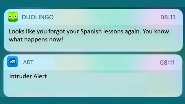 looks like you forgot your spanish lessons again смотреть онлайн