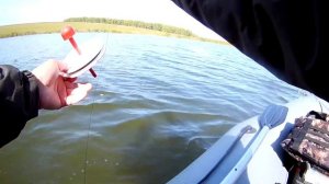 Монтаж, оснастка кружков на карпа, карася, сазана.